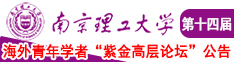 操欧美老阿姨南京理工大学第十四届海外青年学者紫金论坛诚邀海内外英才！